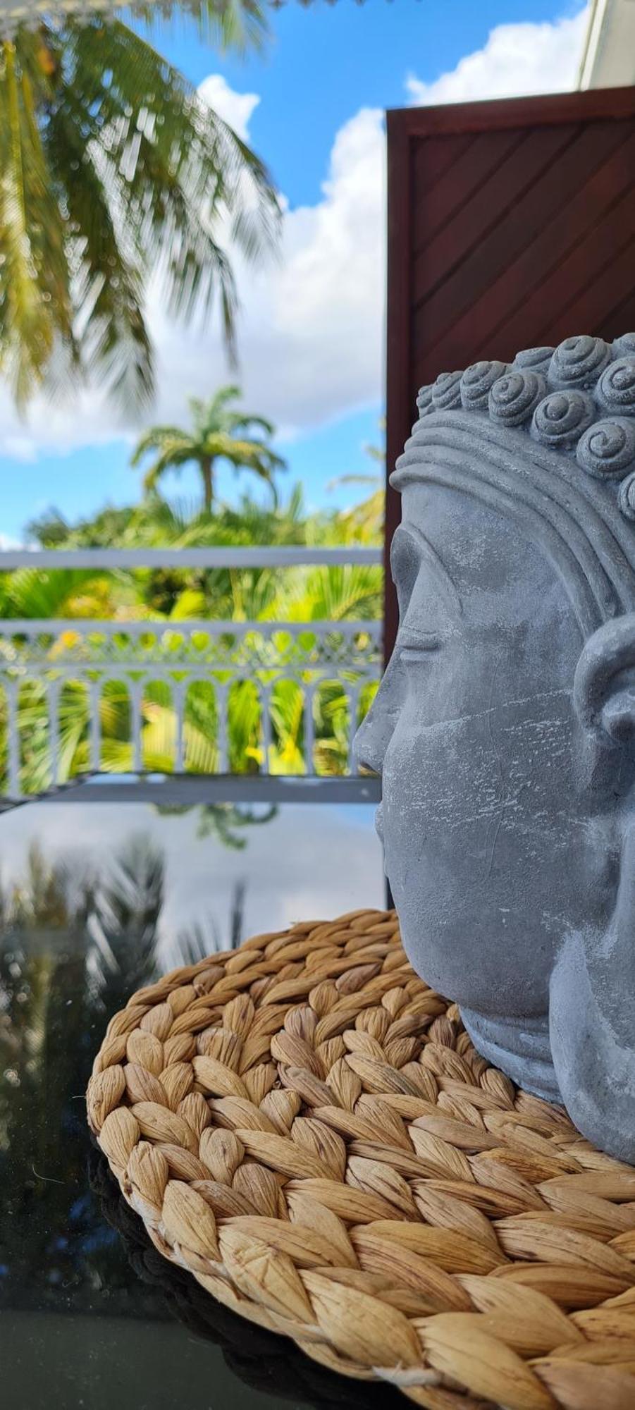 Grand Studio Zen Idealement Situe A Saint-Francois Avec Piscine Et Terrasse Kamer foto